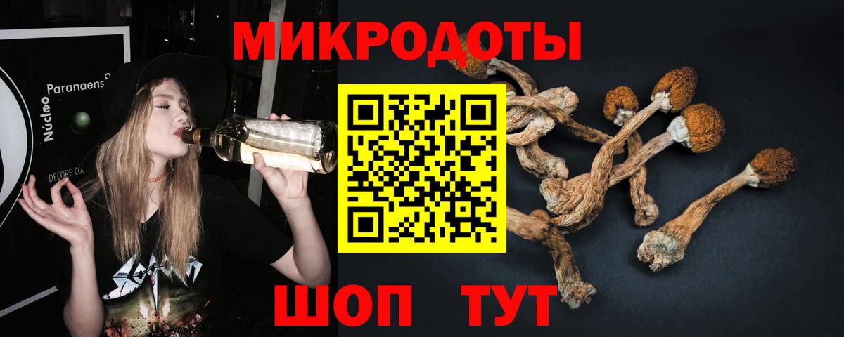 Галлюциногенные грибы ЛСД Солнечногорск